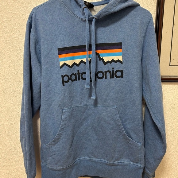 Patagonia Women’s XS Blue Hoodie - Picture 2 of 6